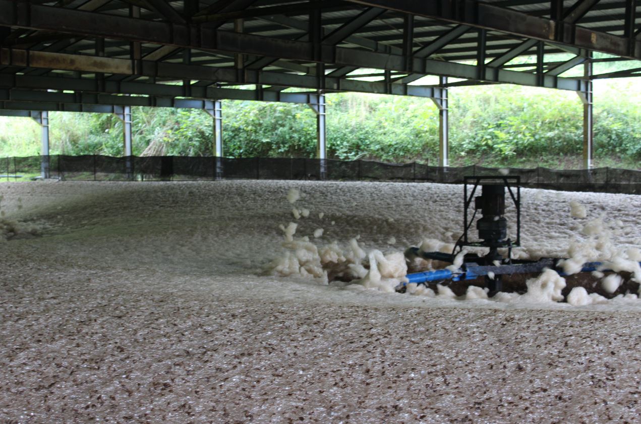 Le bassin va bientôt se moderniser en passant à un système à bulles.