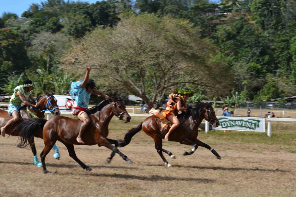Les courses en pareu se font sur 800 mètres.