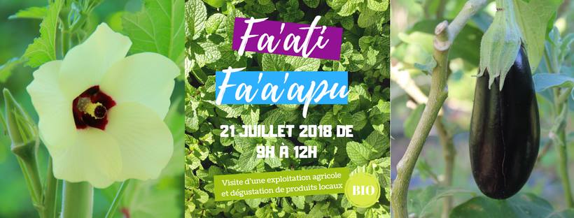 Fa'ati fa'a'apu : visite au cœur des exploitations