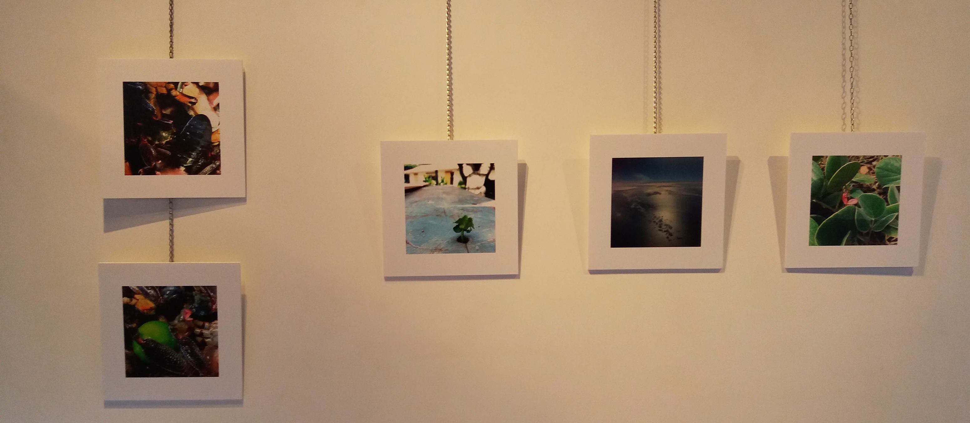 Anoanotupu, la cohabitation des cultures à la galerie Winkler