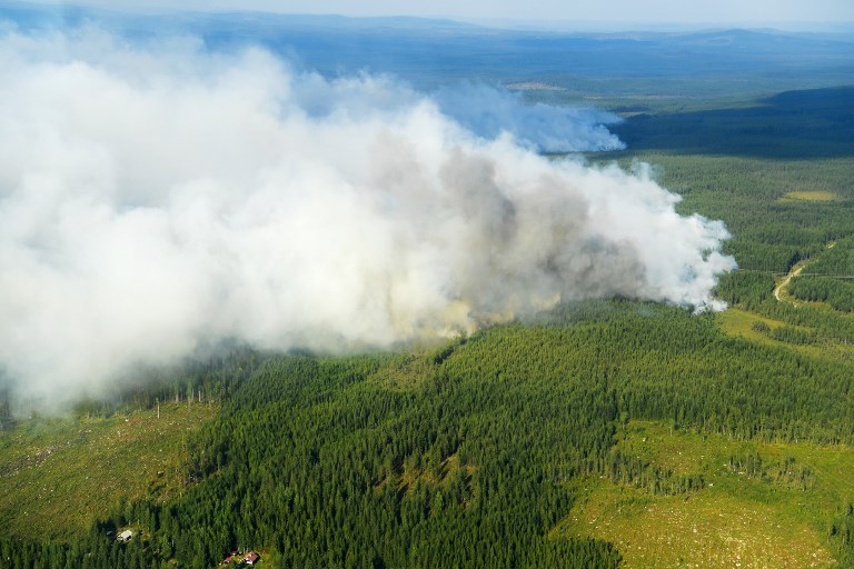 La Suède en proie à des dizaines de feux de forêt