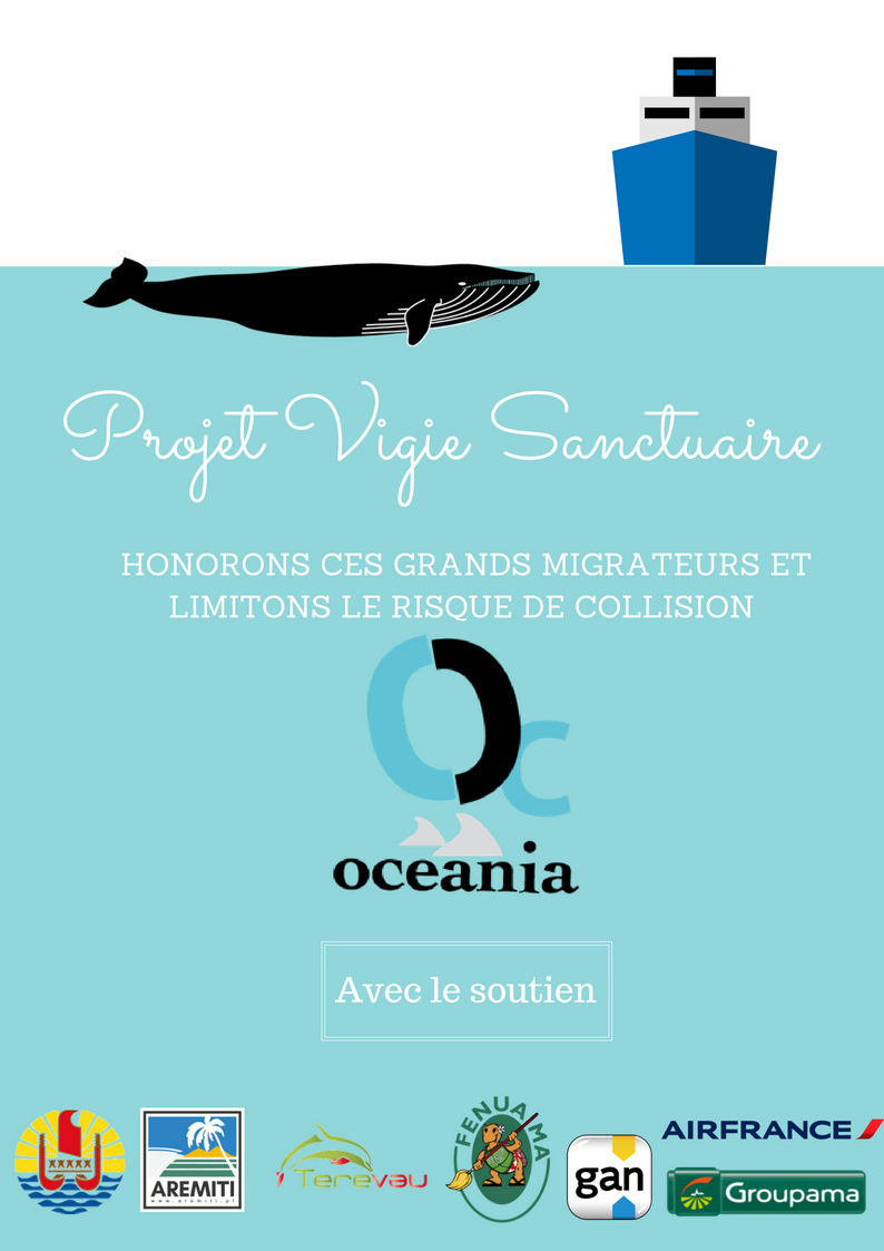 Protection des baleines : OCEANIA lance son projet « Vigie sanctuaire »