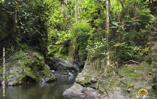 Réouverture de la Vallée de la Fautaua ce jeudi