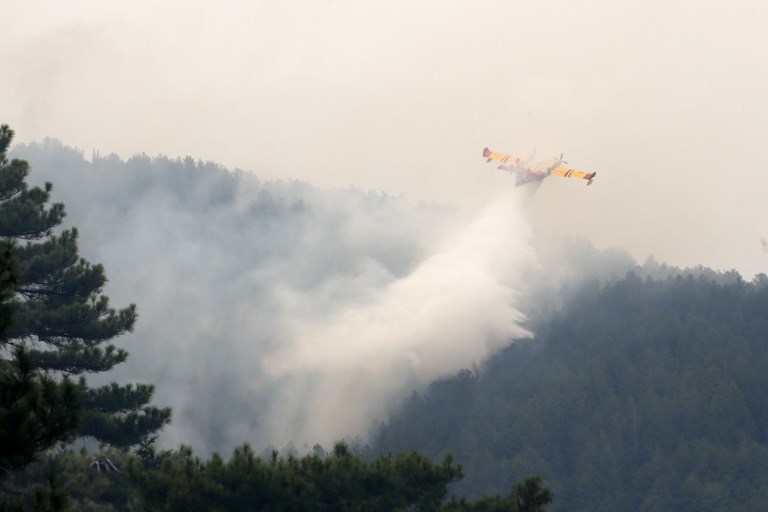La vague de chaleur en Europe provoque sécheresse et incendies
