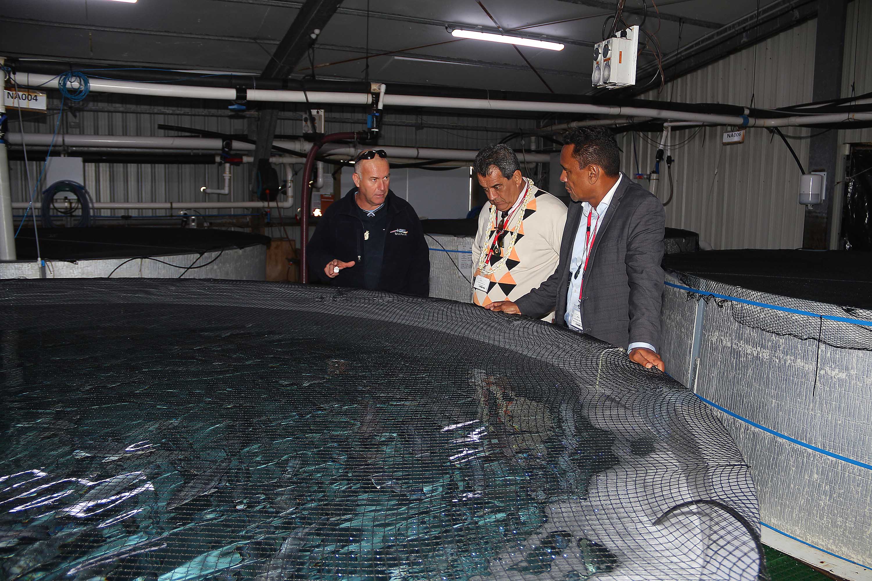 Edouard Fritch poursuit sa visite officielle en Nouvelle-Zélande