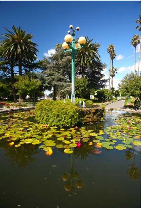 Jeux d’eaux dans un centre-ville très méditerranéen par sa végétation. Le climat de Napier est particulièrement doux et propice au repos.