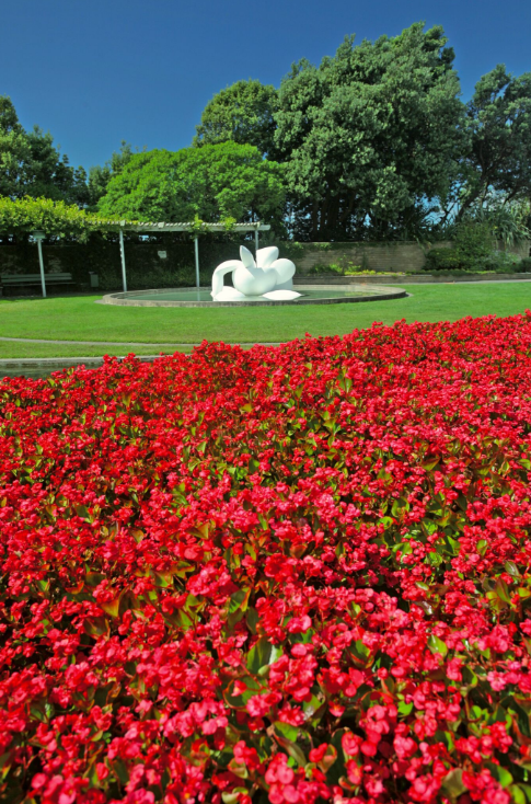 Un concentré de Napier : de l’art et des fleurs, la beauté conjuguée dans ses registres les plus élégants…