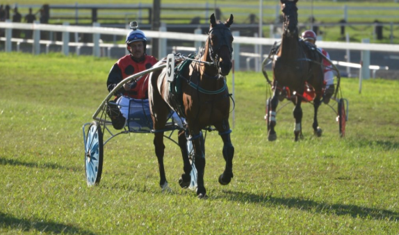 Hippodrome : les pronostics pour les quatre courses de ce dimanche