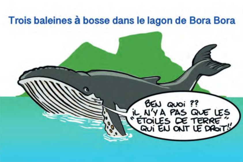 " Les baleines à bosse à Bora Bora " vu par Munoz