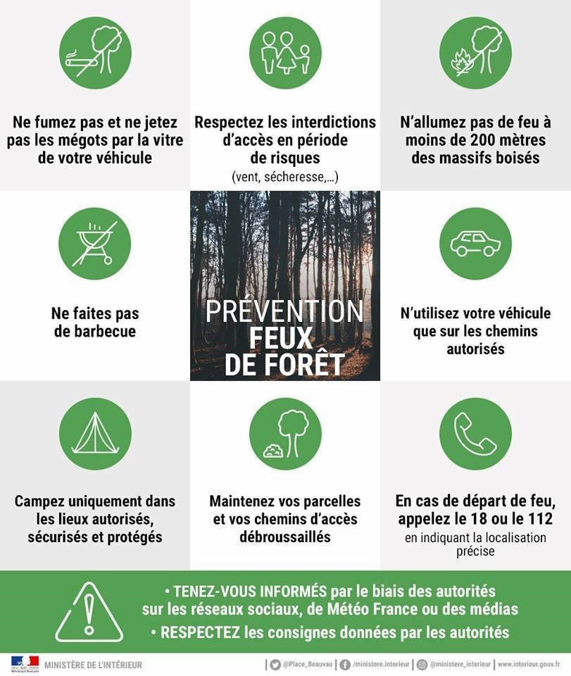 Cinq hectares de brousse partis en fumée à Papeari