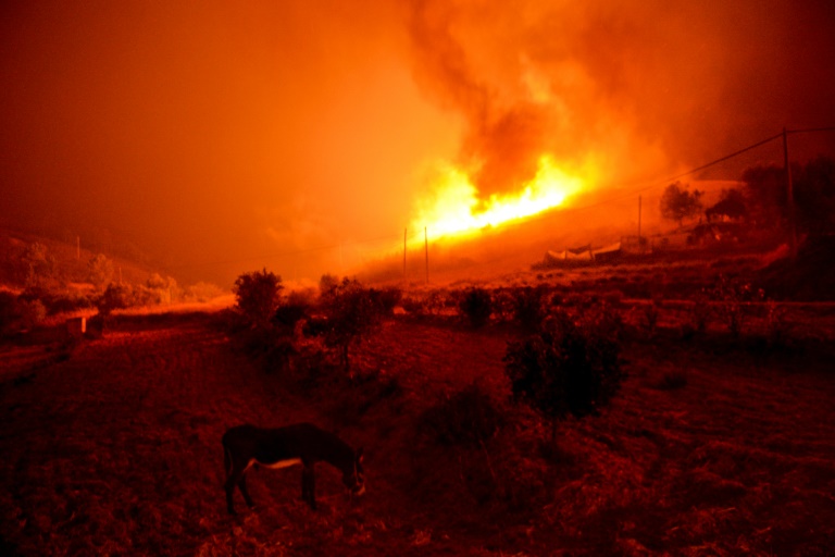 Le feu menace une ville touristique du sud du Portugal