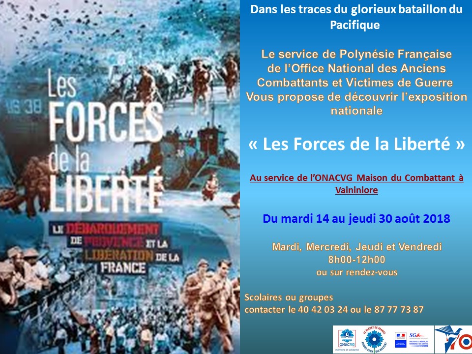 L'exposition Les Forces de la liberté présentée à la Maison du combattant