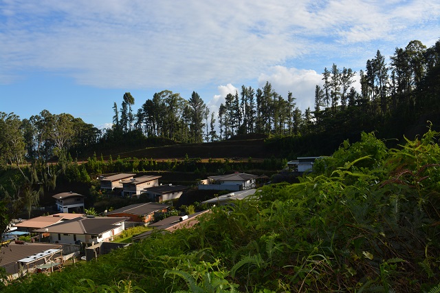 L'étude d'impact est consultable depuis le vendredi 27 juillet et ce jusqu'au 27 août aux mairies de Faa'a et de Punaauia et au service de l'urbanisme de Papeete. Cette étude ne concerne que les travaux de terrassement et la viabilisation des terres concernées.