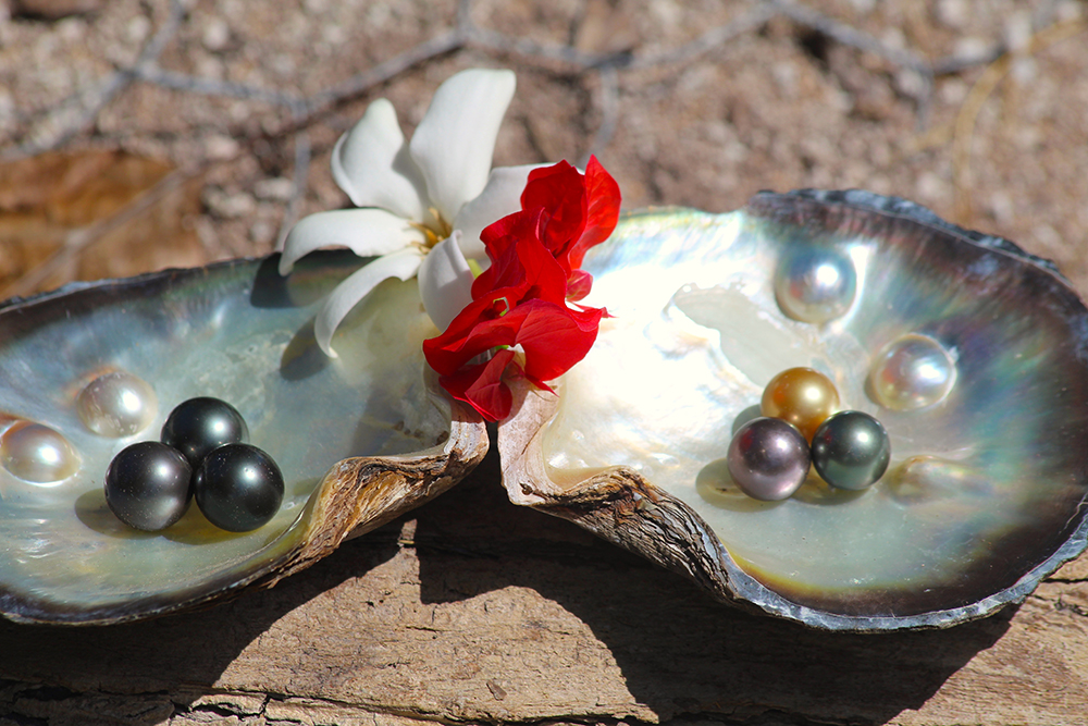 C’est à Manihi, il y a 50 ans exactement, qu’est née la première ferme perlière privée, sous l’impulsion de joailliers parisiens, les frères Rosenthal. © Daniel Pardon