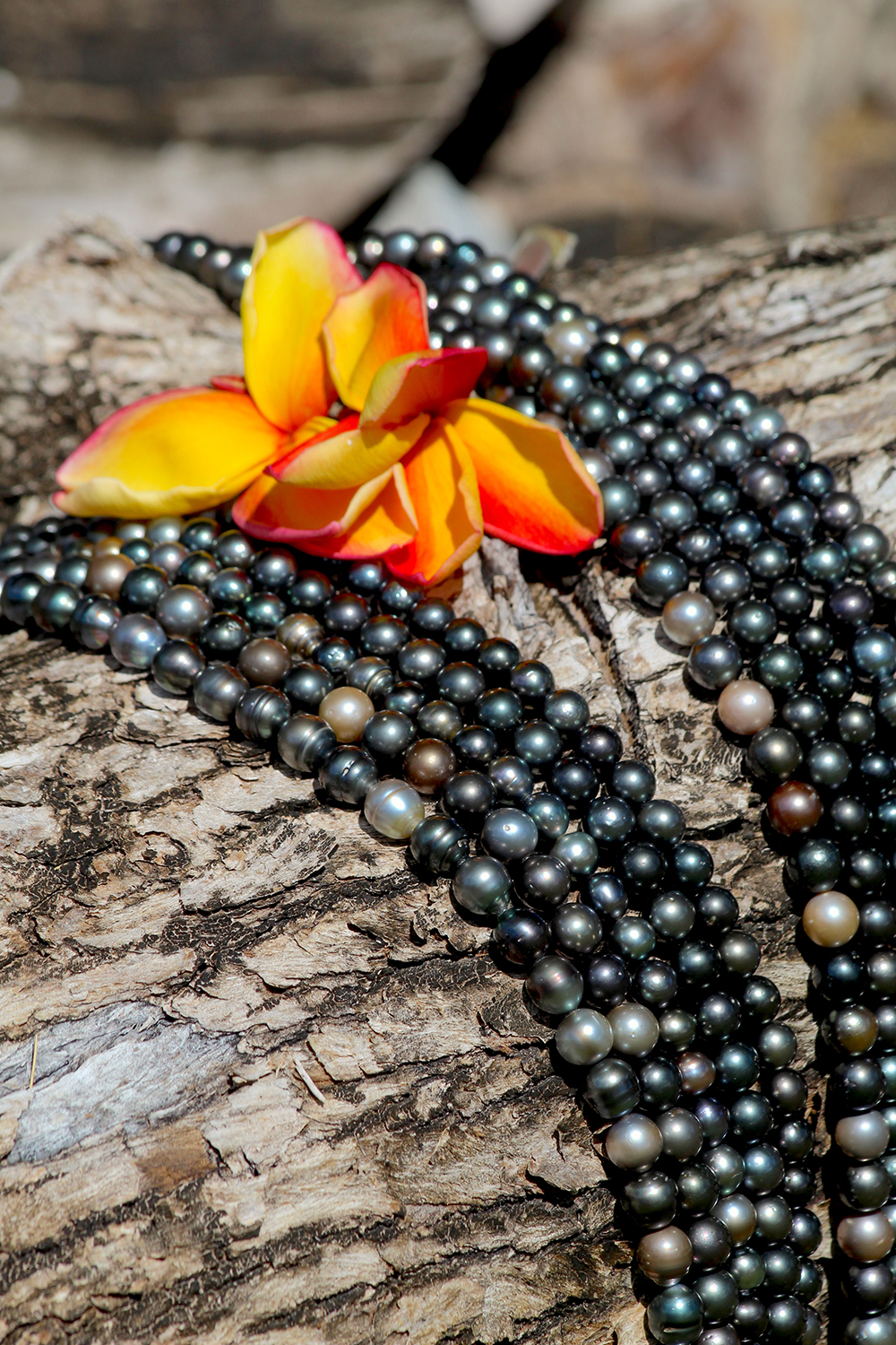 Quelques-uns des colliers de la ferme proche de la pension Poerani Nui ; laissez-vous tenter, les prix sont très attractifs ! © Daniel Pardon