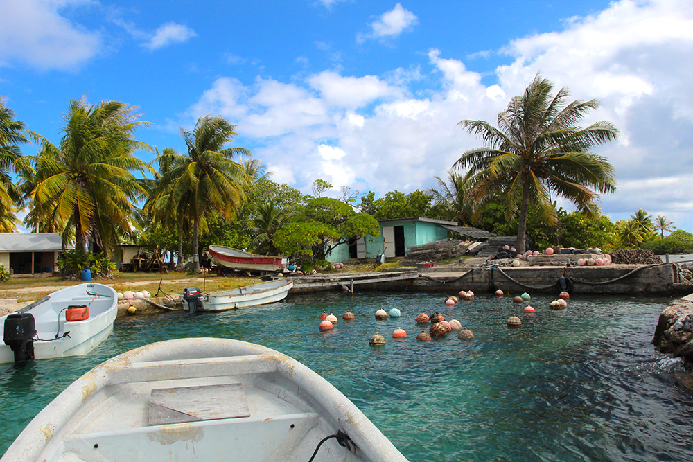 Arrivée à la ferme voisine de la pension Poerani Nui. Même si l’activité est aujourd’hui modeste, la découverte, pour les visiteurs, vaut le déplacement. © Daniel Pardon