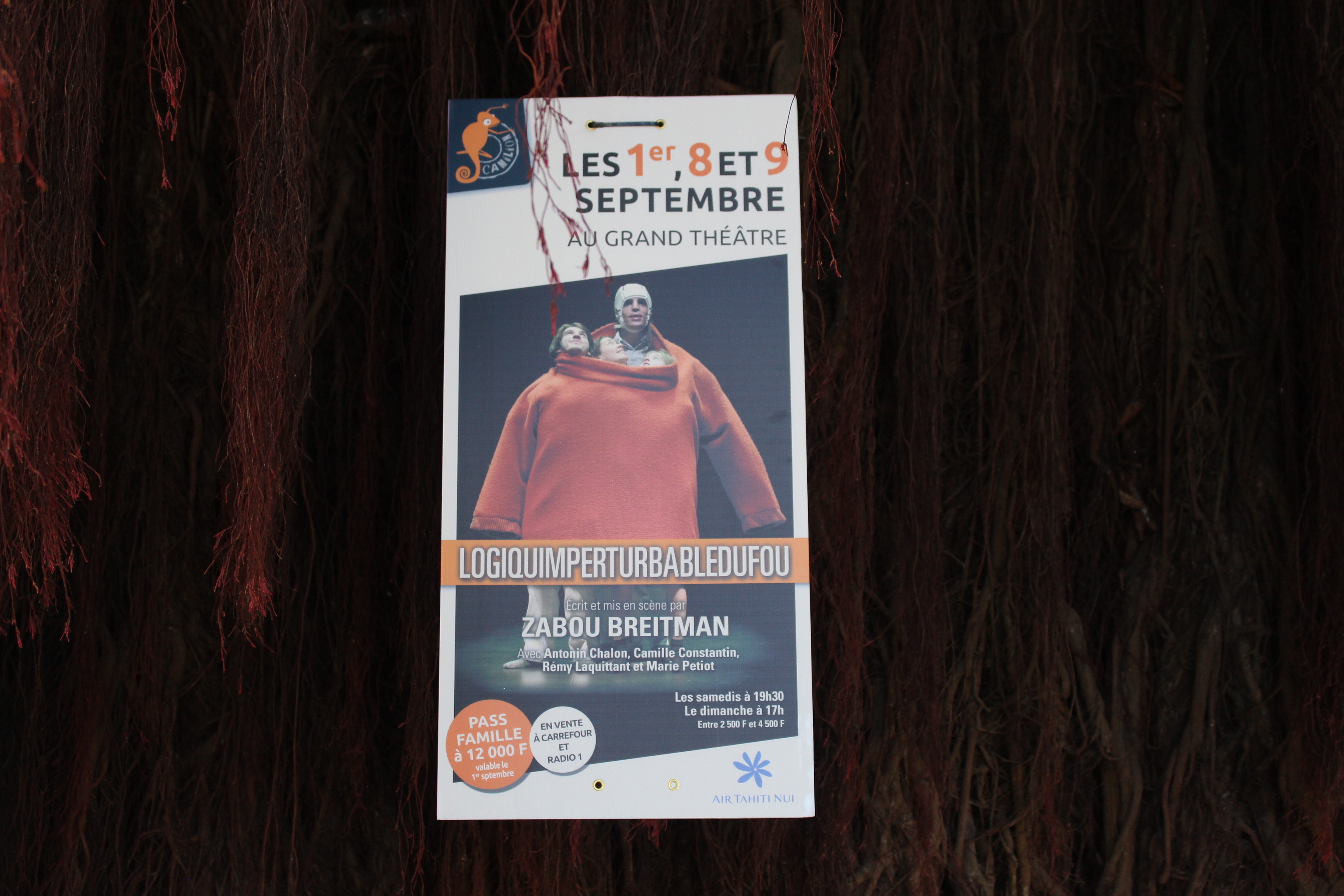 Logiquimperturbabledufou : irraisonnablesfousrires et tendresémotions