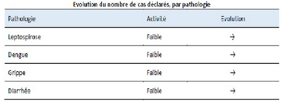 La dengue se répand aux Îles sous le Vent, aux Marquises et aux Tuamotu