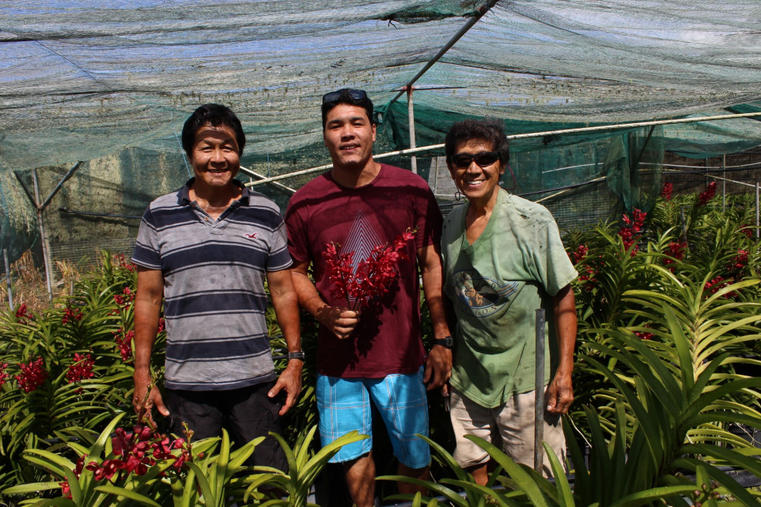 Trois générations d’éleveurs d’orchidées heureux et passionnés : de gauche à droite, Wilfrid, Keanu et Christian Moux.