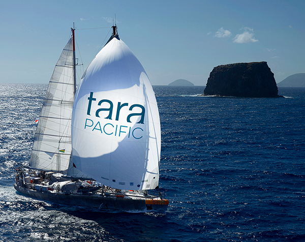 © Francis Latreille – Tara Expeditions Foundation