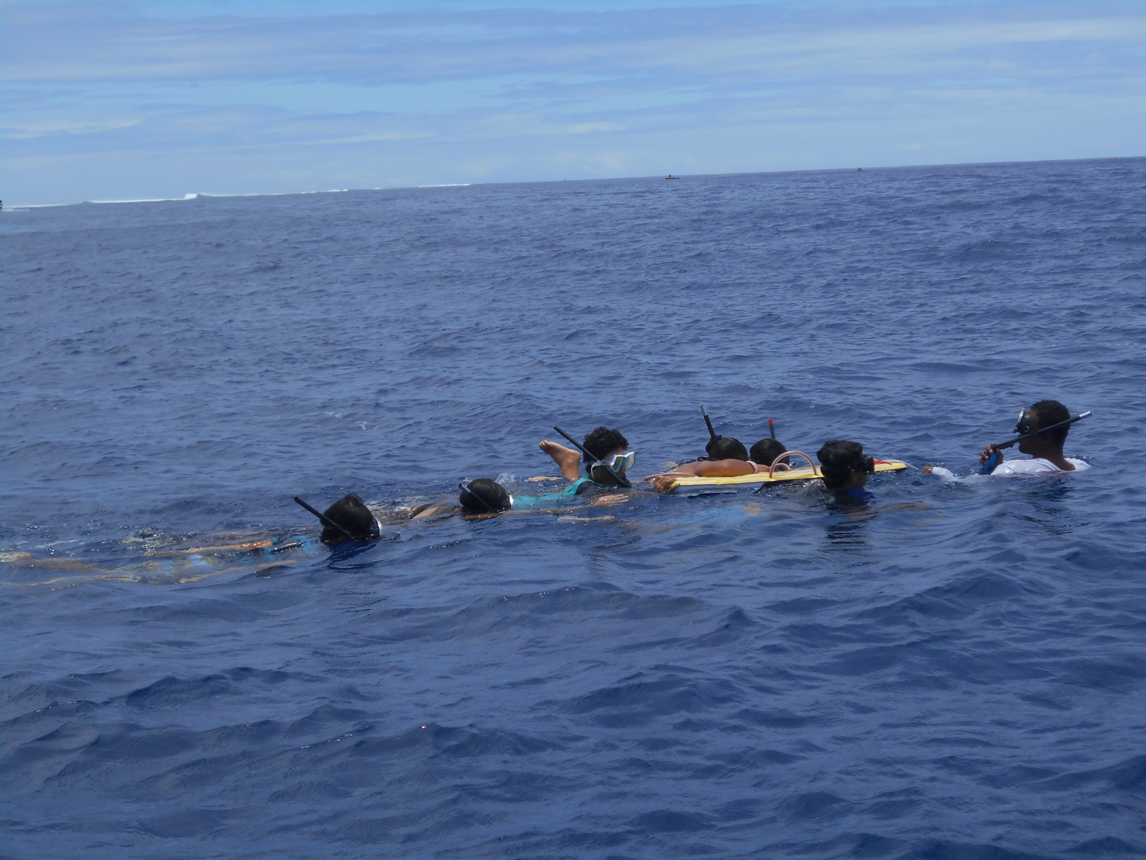 Afareaitu : des collégiens à la rencontre des baleines