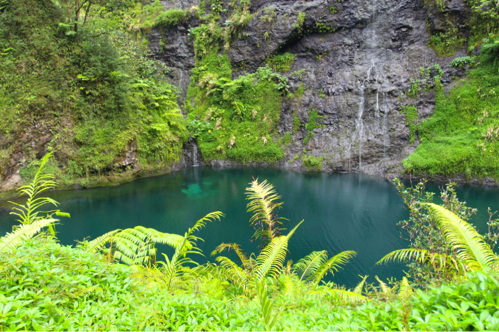 Les eaux de la Vaihiria sont très claires et les bassins le long de la piste prennent de allures de piscine (la plupart sont interdits d’accès car relevant des installations d’hydro-électricité.