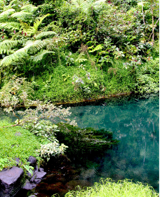 Il est interdit de se baigner dans cette retenue d’eau ; mais avouez que l’on peut être tenté d’y piquer une tête !