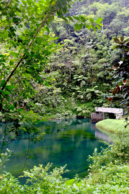 La bonne santé de la rivière est évidente lorsqu’on prend le temps d’observer sa faune, sa flore et ses eaux cristallines.