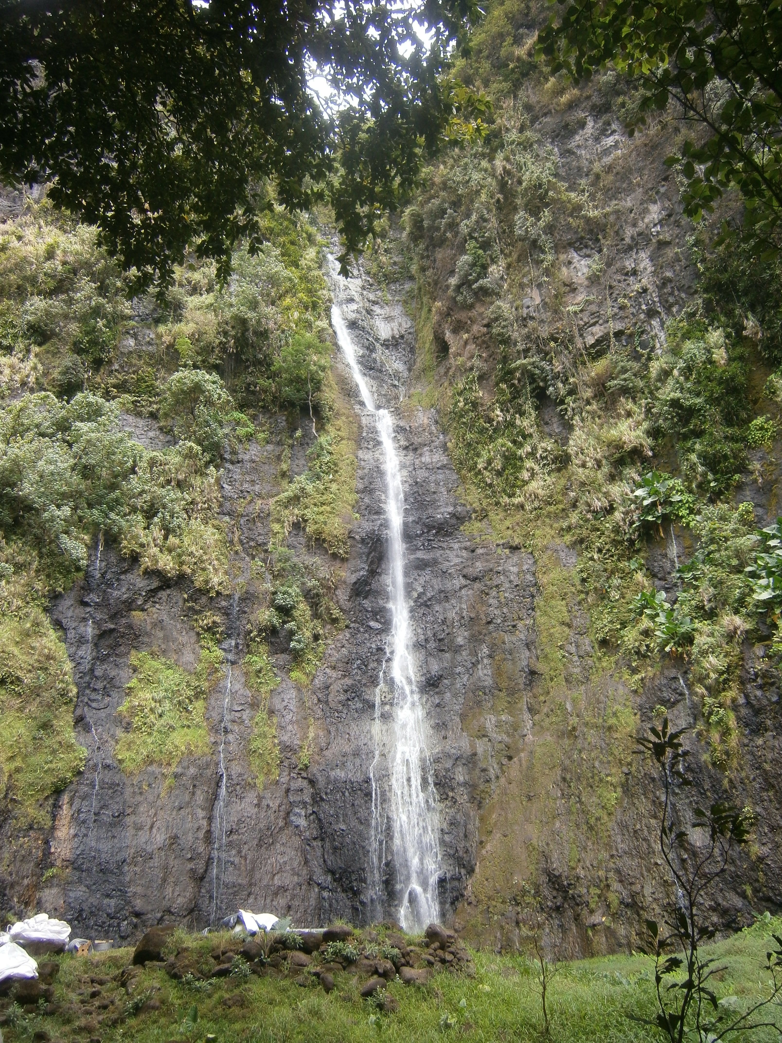 Ce diplôme permettra aussi de concevoir et de commercialiser des circuits touristiques en partenariat avec les hôtels et les pensions de famille.