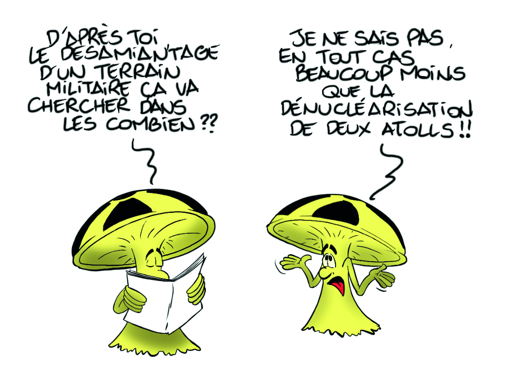 " Désamiantage et dépollution des terrains militaires cédés " vu par Munoz