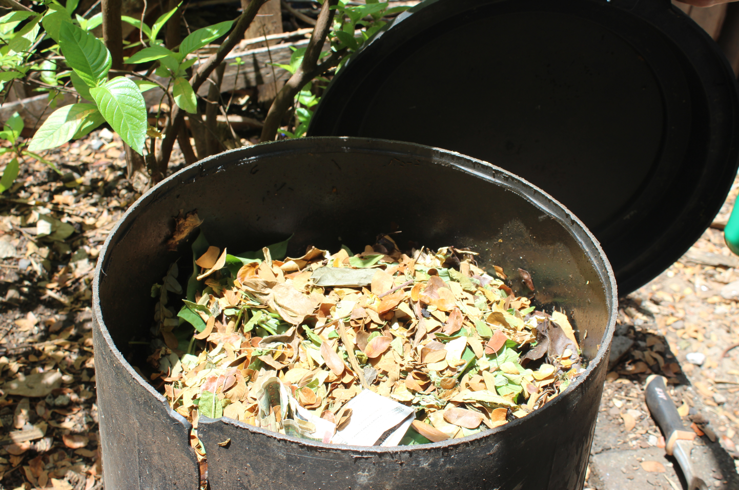 Le compostage, LA solution "magique" pour réduire ses déchets de 2/3