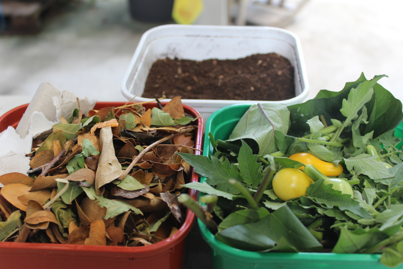 Matière brune + matière humide donne le compost.