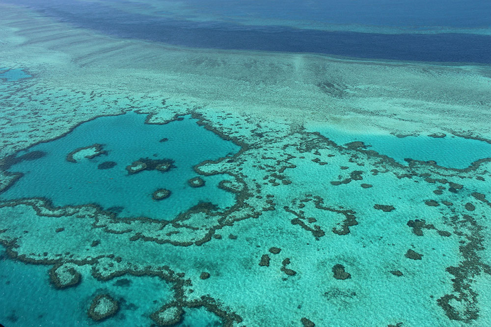 Récifs coralliens: limiter le réchauffement du climat ne suffit pas