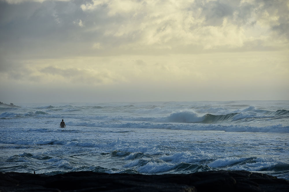 Australie: un surfeur gravement blessé par un requin