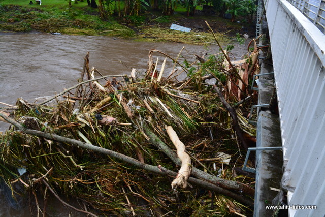 En ces temps de pluies, évitez de trainer les arbres découpés aux abords des lits de rivières.
