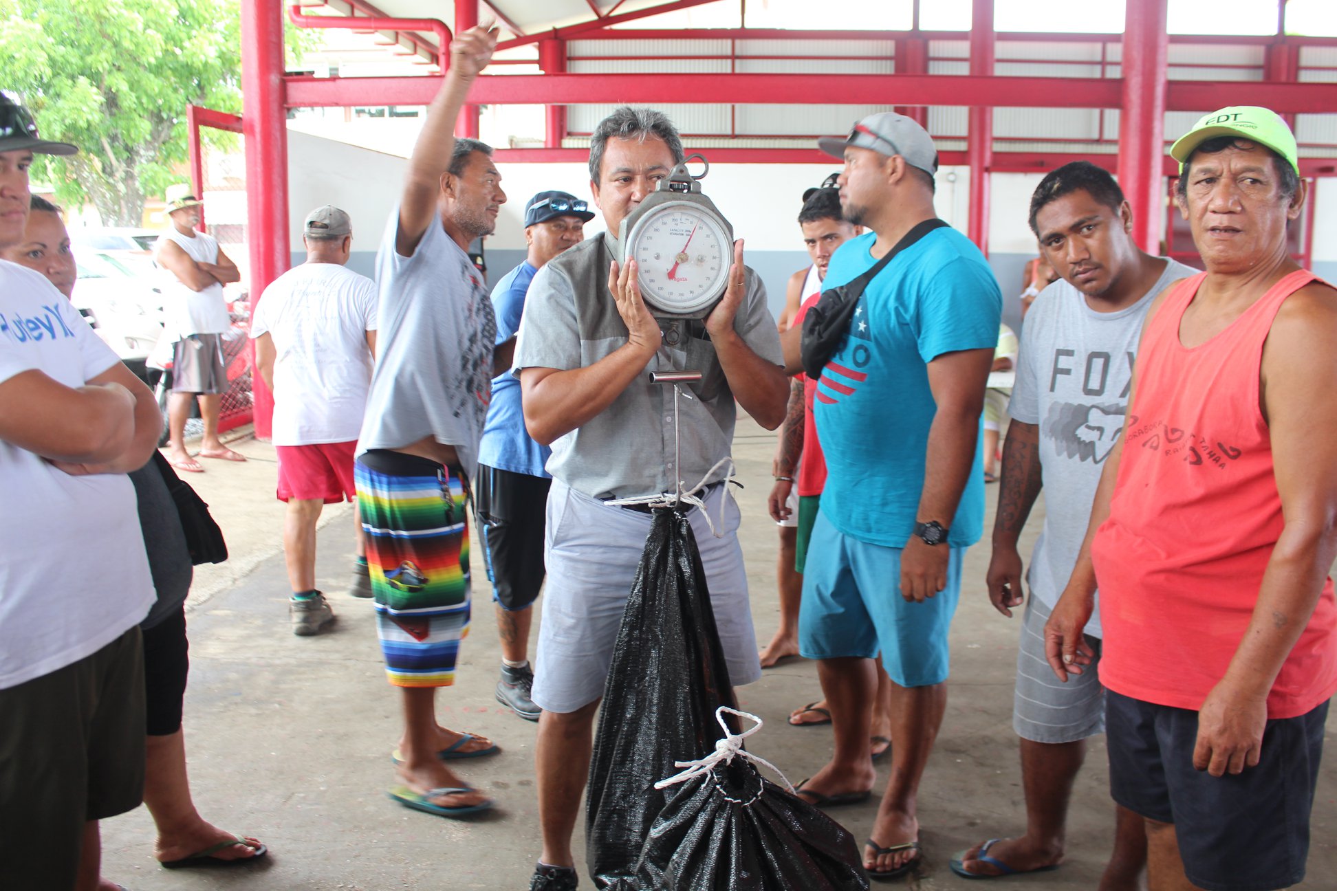 Pêche aux trocas : 23 tonnes récoltées, plus de 7 millions pour les familles de Mataiea
