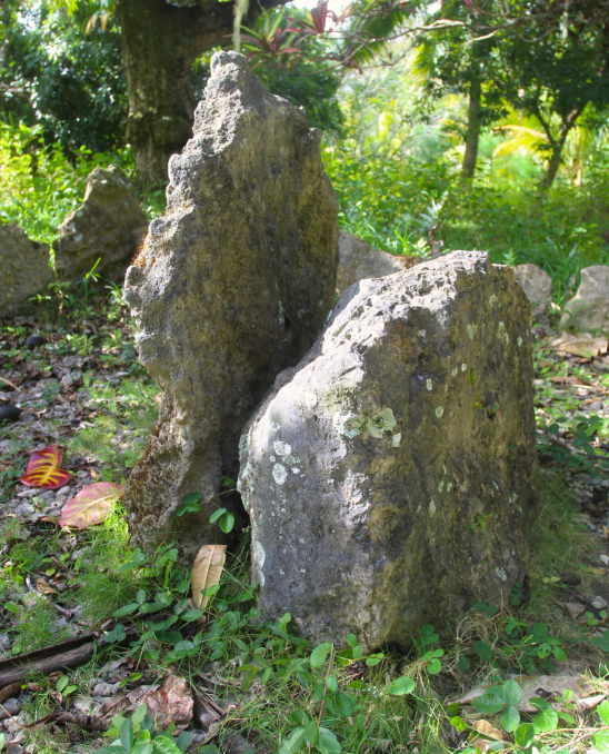 La plus grande dalle marque le milieu de l’île, la plus petite serait la stèle de Tamaeva I