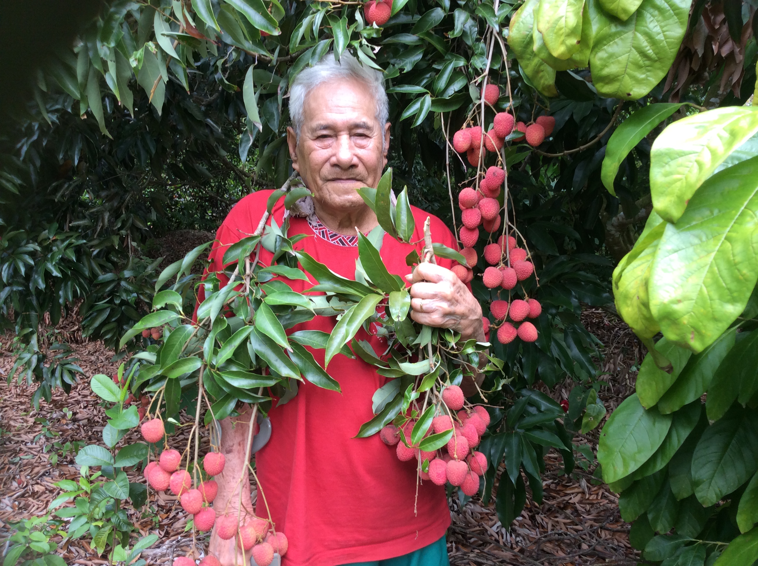 Taputuhurupee Taroaitehaihai, âgé de 85 ans, est le père de 17 enfants, dont Virginia. Il vit de l’agriculture depuis son plus jeune âge.