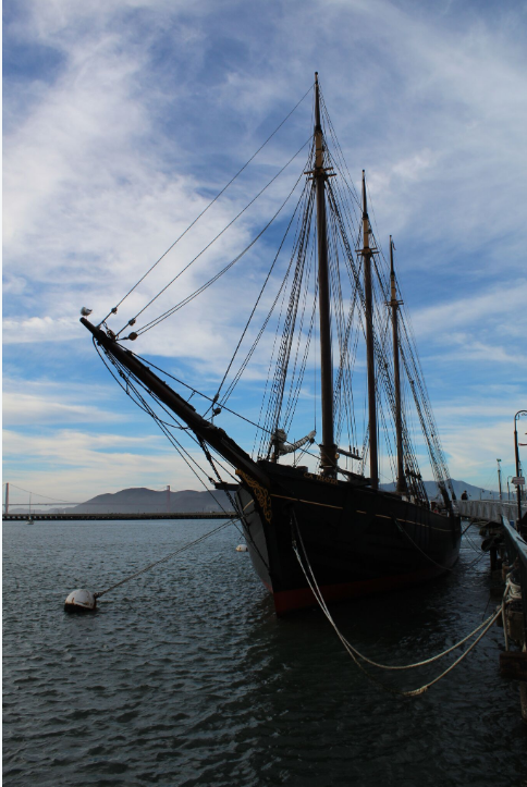 C’est sur un trafic de riz par bateau que Joshua Norton tenta de se constituer une immense fortune, mais cette spéculation manquée eut pour conclusion sa faillite personnelle en 1858.