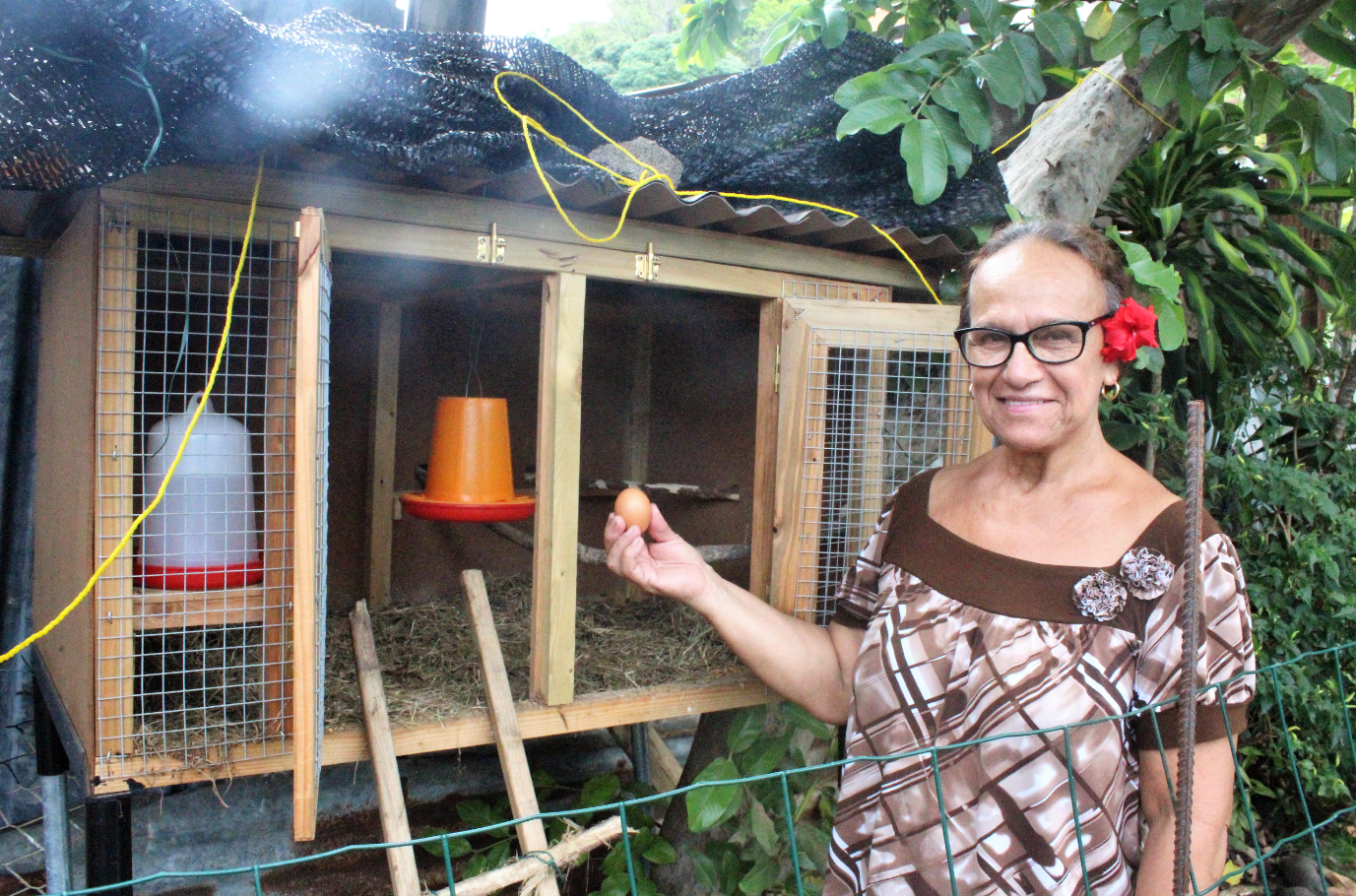 Elmoza Faatoa a été choisie avec cinq autres familles pour accueillir des poules pondeuses.