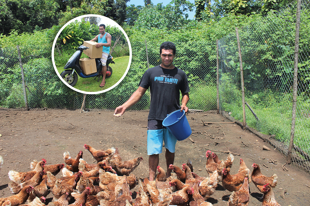 Moïse élève ses 260 poules pondeuses en plein air.