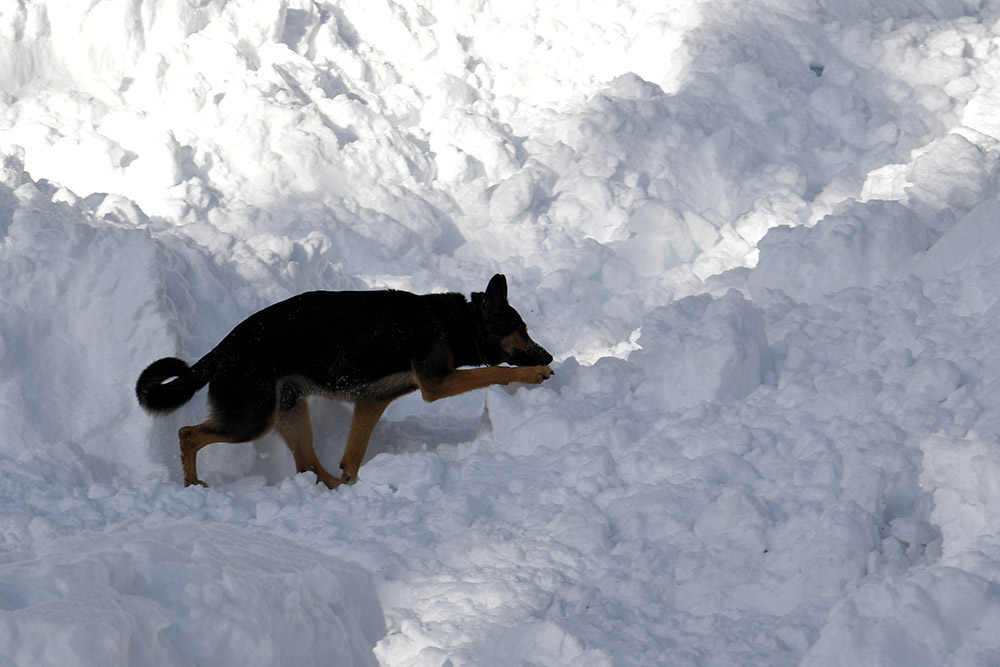 Savoie: un enfant sauvé après avoir été enseveli par une avalanche