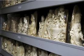 De l'ivoire de mammouth découvert dans des bibelots en ivoire du Cambodge