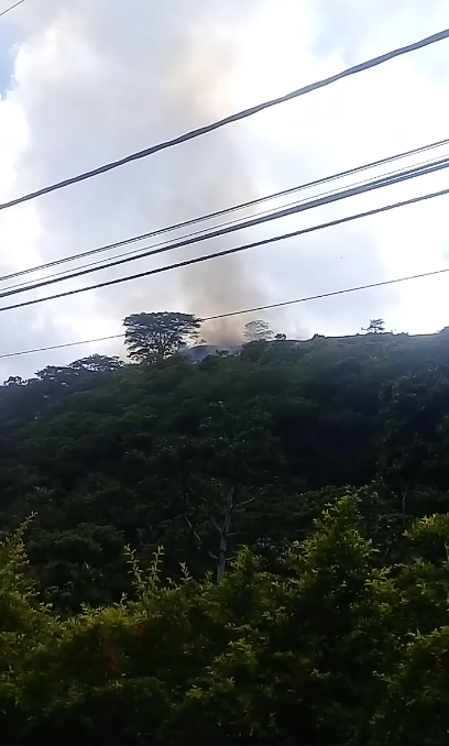 Un incendie de végétation maîtrisé sur les hauteurs de Arue (MàJ)