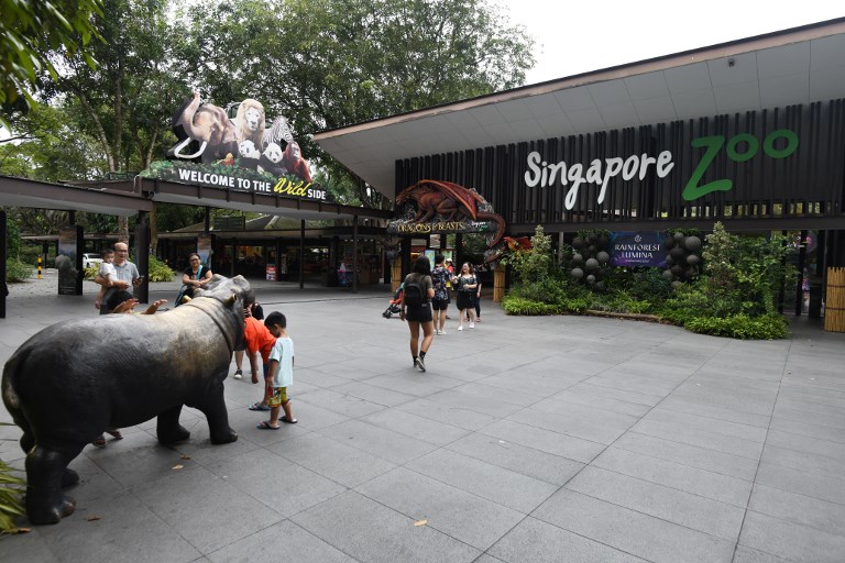 A Singapour, les foudres écologistes sur un projet écotouristique