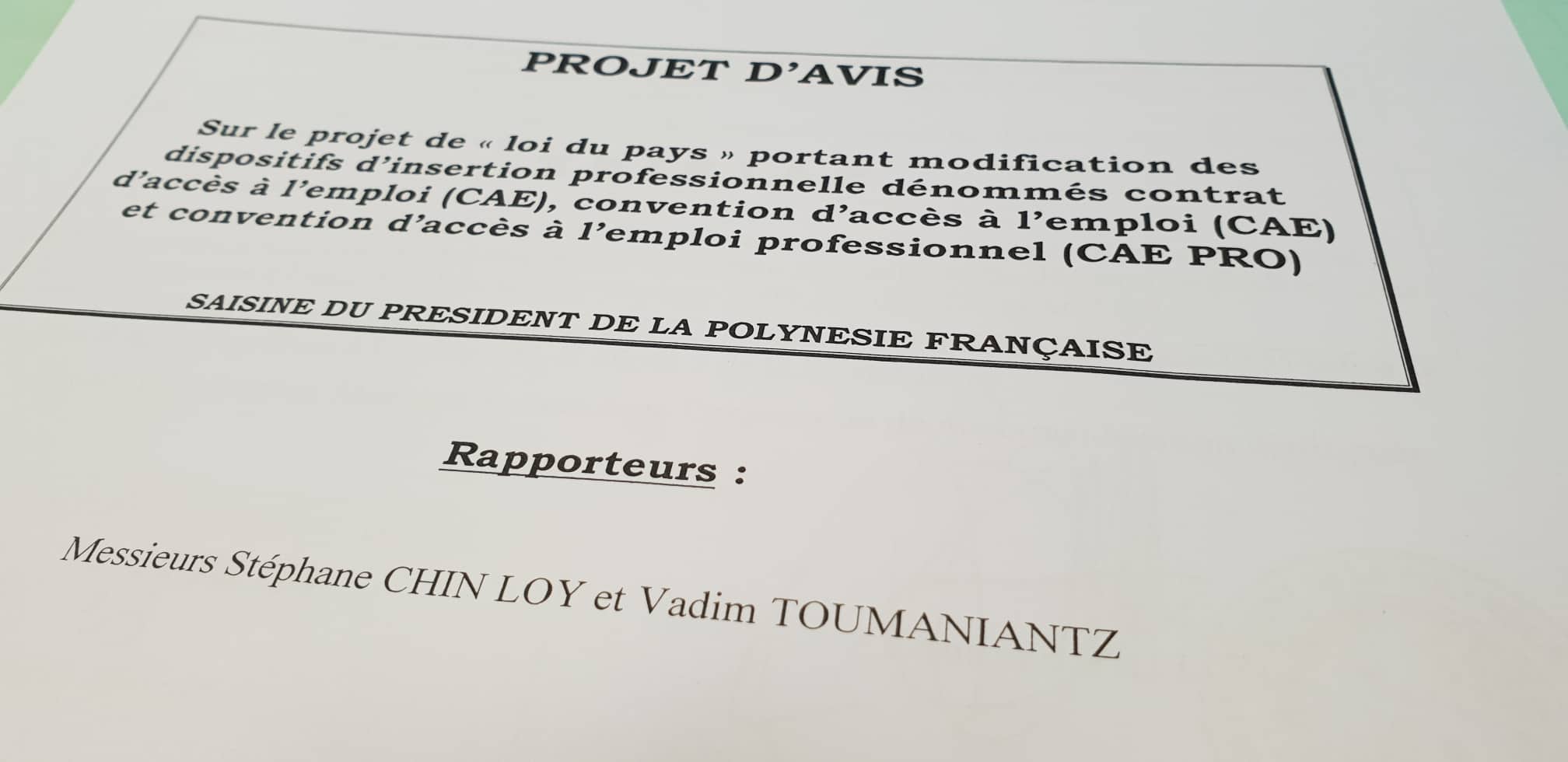 La nouvelle mouture de la Convention d'accès à l'emploi votée au CESC