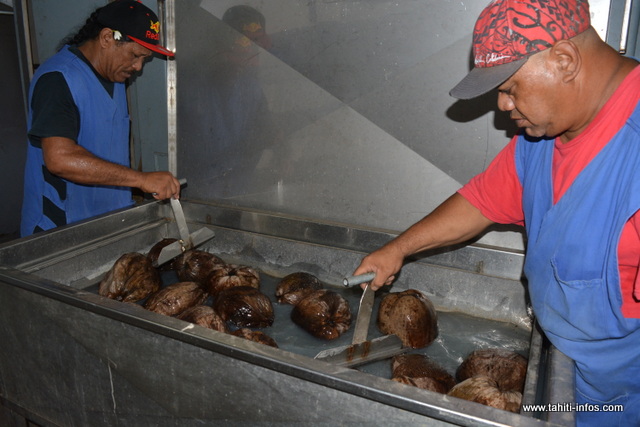 Menace de grève à la direction de la biosécurité