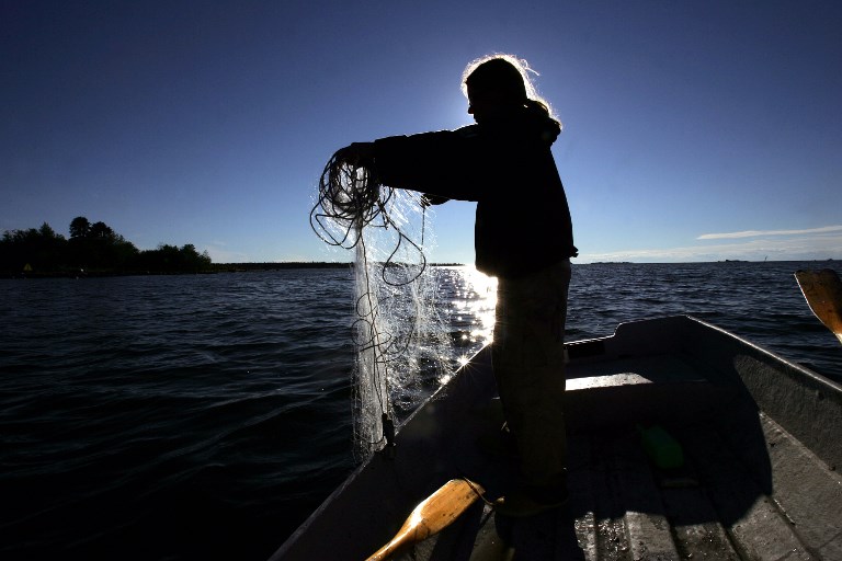 Pêche: Cash Investigation dénonce les ravages des DCP dans l'Océan indien