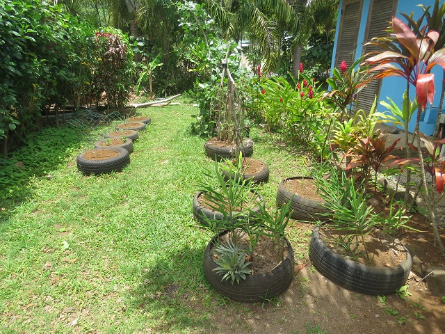 Les membres de l'association sont bénévoles. Selon la présidente, Juliette Teihotaata, entre 40 et 50 jeunes ont bénéficié de leurs formations l'année dernière.