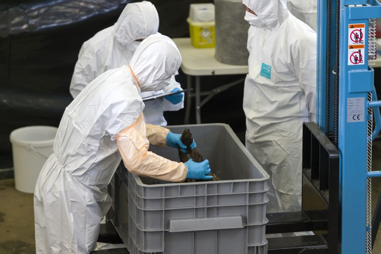 En Grèce, 17 morts de la grippe A en une semaine